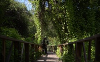 Reserva Ecológica de Vicente López: días y horarios para visitarla