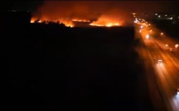Incendio en el Parque Nacional Ciervo de los Pantanos