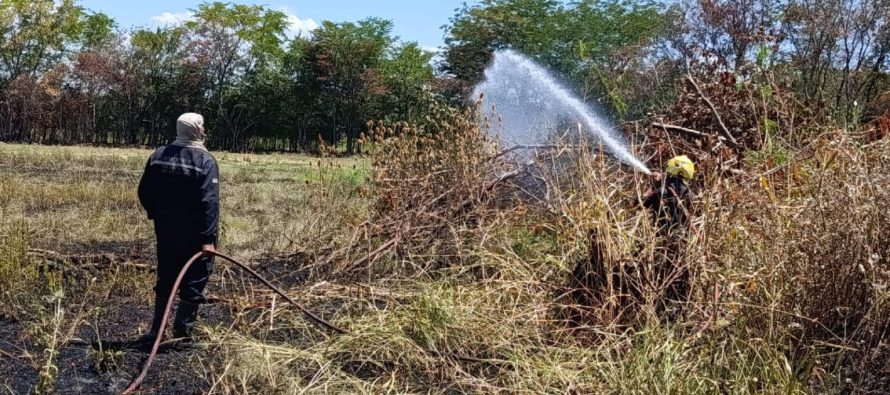Dos vecinos de Escobar denunciados penalmente por delitos ambientales