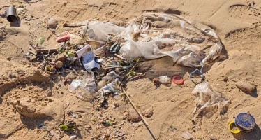 Más del 70% de los residuos en la costa bonaerense son plásticos