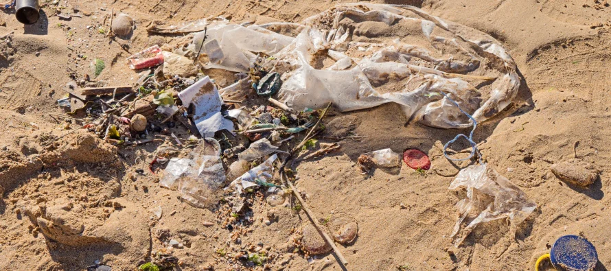 Más del 70% de los residuos en la costa bonaerense son plásticos