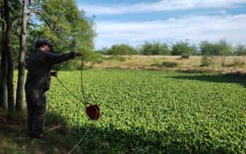 Río Reconquista: se realizó el monitoreo mensual de calidad de agua