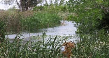 Grave denuncia contra el juez que investiga la causa de Naudir Delta en Escobar