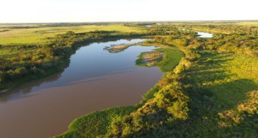 Hidrovía: inexistencia de estudios de impacto ambiental entre las irregularidades de la licitación