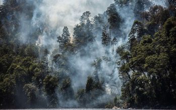 Desregulación del turismo en parques nacionales: qué dice la medida y qué impactos ambientales podría tener