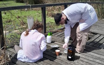 Estudian la presencia de microplásticos en el Parque Nacional Ciervo de los Pantanos