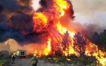 Casi toda la provincia de Buenos Aires está bajo peligro extremo de incendios