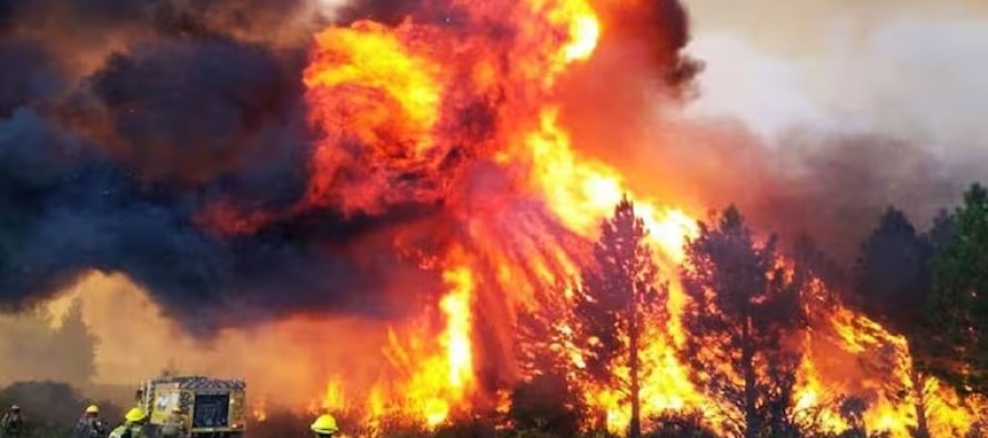 El gobierno nacional quiere modificar la Ley de Manejo del Fuego