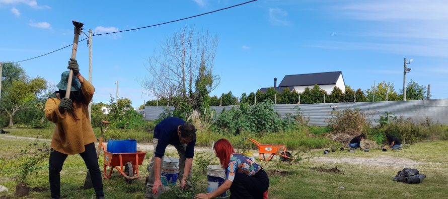 Punta Querandí: agroecología y reforestación de nativas