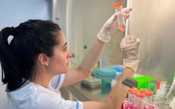 Skincare en la mira: científicas testean productos que podrían afectar la salud reproductiva