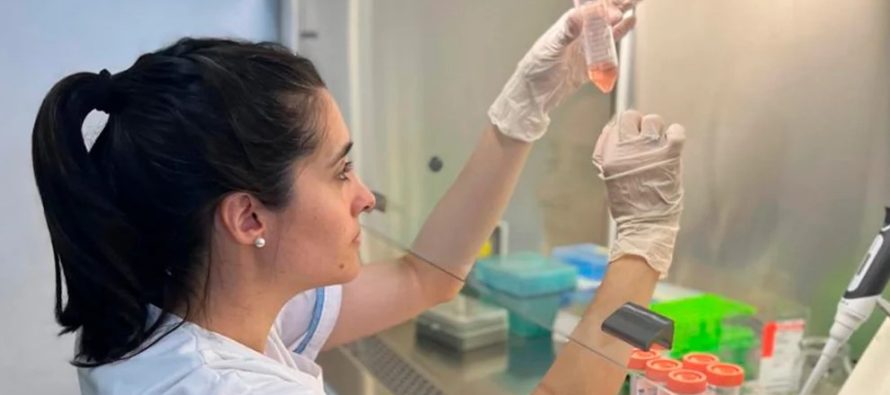 Skincare en la mira: científicas testean productos que podrían afectar la salud reproductiva