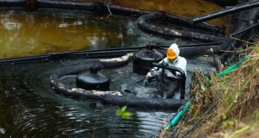 El impacto de la actividad humana en la biodiversidad: “Tenemos que aprender a convivir y no destrozar todo”