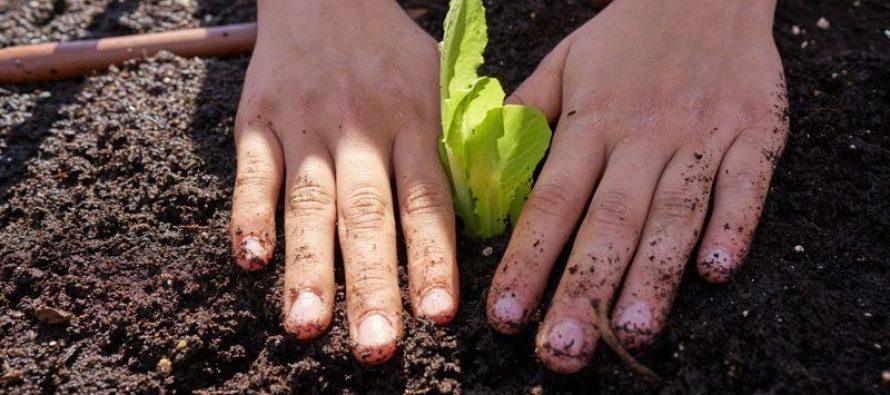 Se aprobó el puntaje docente para la capacitación “Ecopatios y ambiente en el Río Reconquista”