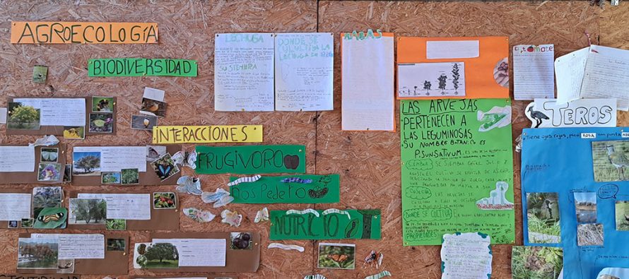 En Morón funciona una escuela primaria de gestión social, cooperativa y sustentable