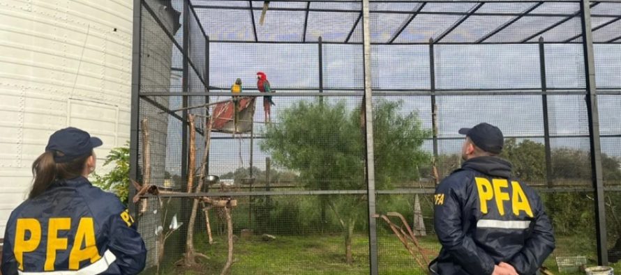 Rescataron de un zoológico clandestino a animales en cautiverio