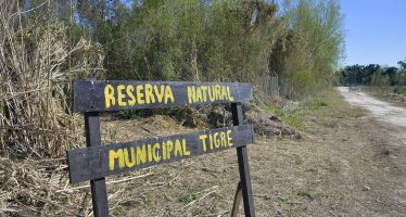 Clase abierta de la UBA en la Reserva Natural Urbana de Tigre