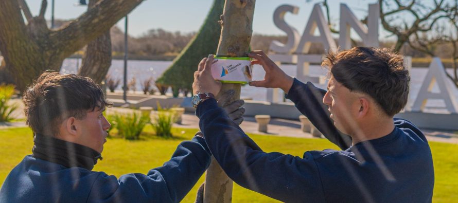 San Fernando: tareas de parquización en la costanera municipal