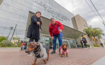 Patitas de Salud: San Fernando lanzó un programa de visitas terapéuticas con animales