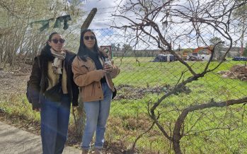 Boulogne Verde: «El fallo de la justicia nos motiva para seguir luchando»