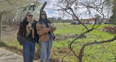 Boulogne Verde: «El fallo de la justicia nos motiva para seguir luchando»