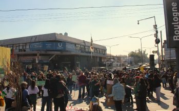 Multitudinaria participación en el segundo Marchazo por el Parque Público en Boulogne