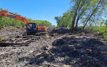 Denuncian la destrucción de humedales en Campana por un emprendimiento inmobiliario