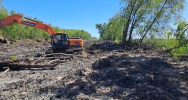 Denuncian la destrucción de humedales en Campana por un emprendimiento inmobiliario