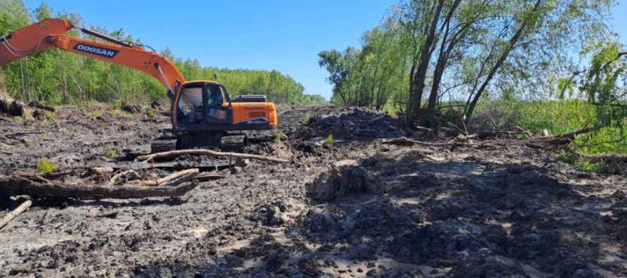 Denuncian la destrucción de humedales en Campana por un emprendimiento inmobiliario