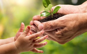 Por qué se conmemora hoy el Día Nacional de la Conciencia Ambiental