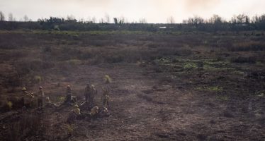 Condenaron a prisión a los apicultores acusados por los incendios en el Delta