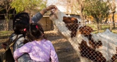 Chacra Educativa San Isidro Labrador: cuáles son los horarios para recorrerla