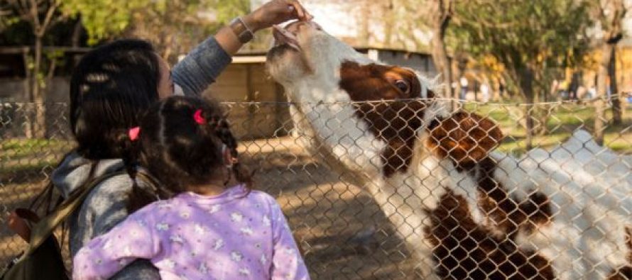 Chacra Educativa San Isidro Labrador: cuáles son los horarios para recorrerla