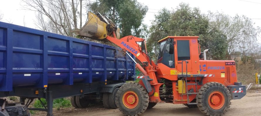 Cronograma de recolección de ramas para esta semana en Escobar