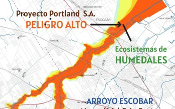 Hasta mañana hay tiempo para opinar sobre el relleno de humedales en el Arroyo Escobar