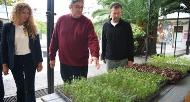 Hasta hoy está abierta la inscripción para la entrega de plantines a huertas comunitarias