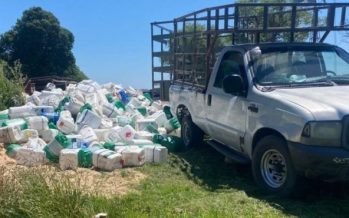 Interceptan en Ramallo una camioneta con 1.000 bidones vacíos de agroquímicos