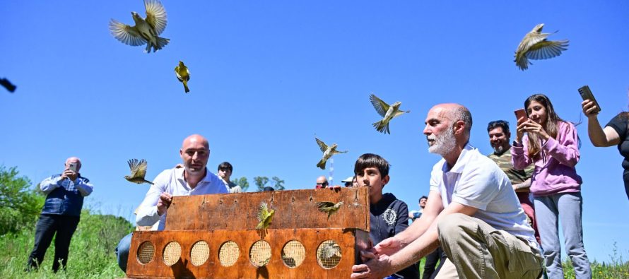 Liberación de aves silvestres nativas en la Reserva de Maschwitz