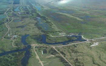 Delta del Paraná: alerta por endicamientos, terraplenes y urbanizaciones sobre humedales