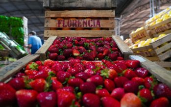 Fiesta de la Frutilla en Escobar