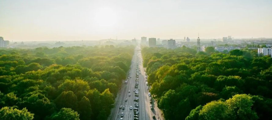 La naturaleza interrumpida: un proyecto de corredores verdes para el AMBA