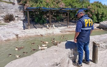Allanaron el Aquarium de Mar del Plata por presunta contaminación del mar con residuos peligrosos