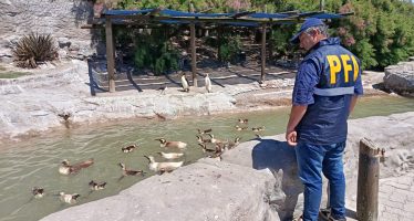 Allanaron el Aquarium de Mar del Plata por presunta contaminación del mar con residuos peligrosos