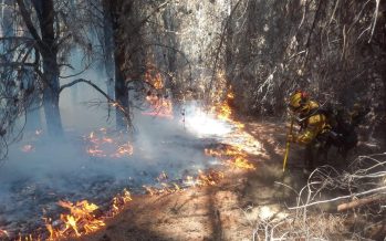 Gobernadores de la Patagonia piden declarar la Emergencia Ígnea