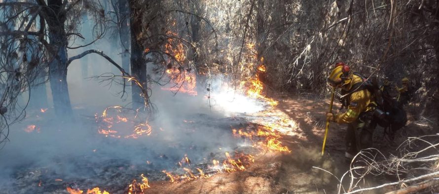 Gobernadores de la Patagonia piden declarar la Emergencia Ígnea