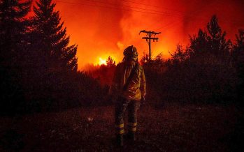 Incendios en la Patagonia: «Ayer lloré todo el día»