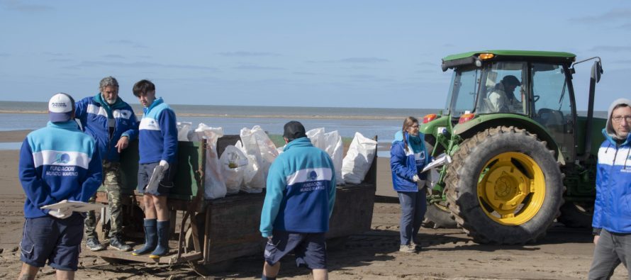 Alarma ambiental en la costa bonaerense: el 78% de los residuos hallados en las playas son plásticos