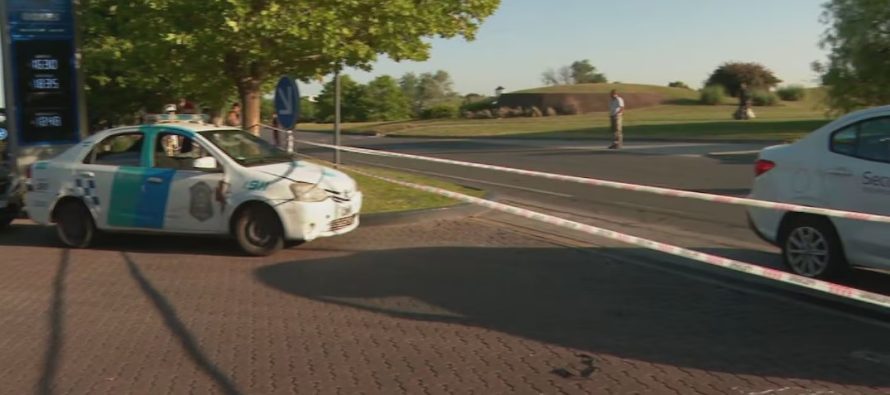 Tensión en Nordelta: operativo para desalojar a los carpinchos y protestas de vecinos