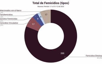 Un femicidio cada 35 horas: el alarmante balance de la Defensoría del Pueblo sobre 2025