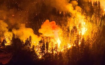 Incendios en la Patagonia: denuncian que el gobierno nacional desfinanció el Servicio Nacional del Manejo del Fuego