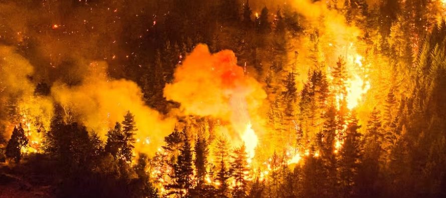Incendios en la Patagonia: denuncian que el gobierno nacional desfinanció el Servicio Nacional del Manejo del Fuego